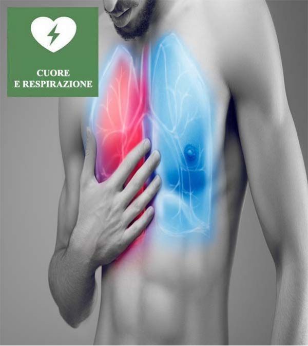 Cuore e respirazione: quando il fiato corto può dipendere dal cuore 